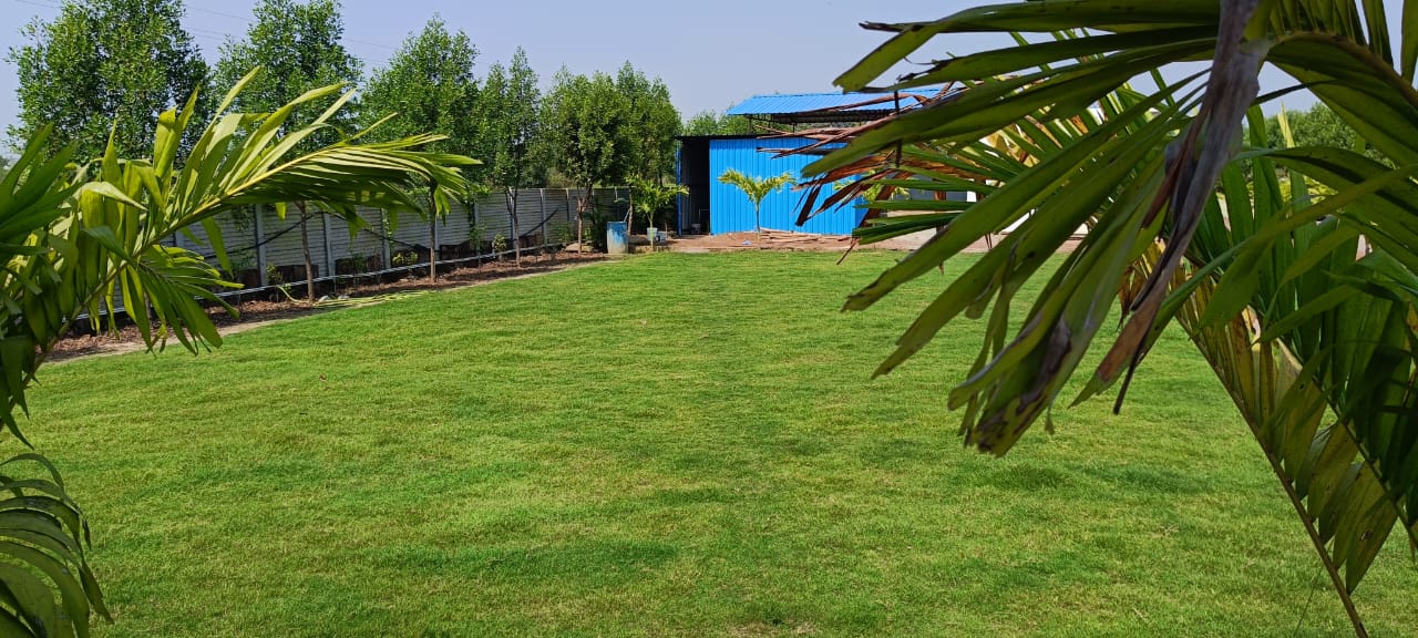 Lagan Vatika, Bhilai — photo 7