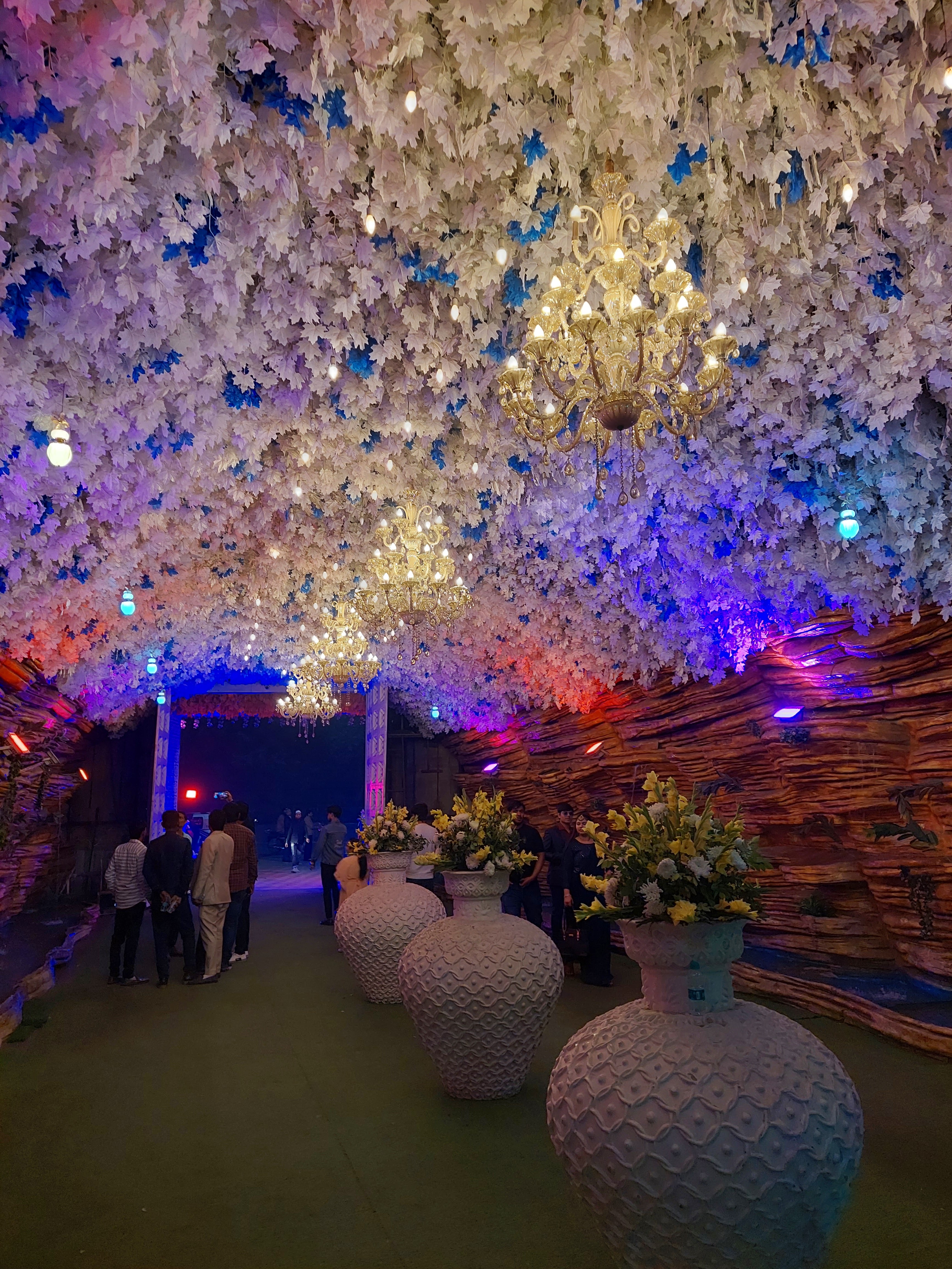 ROYAL AMBIENCE PARTY LAWN , INDIRAPURAM, Ghaziabad — photo 10