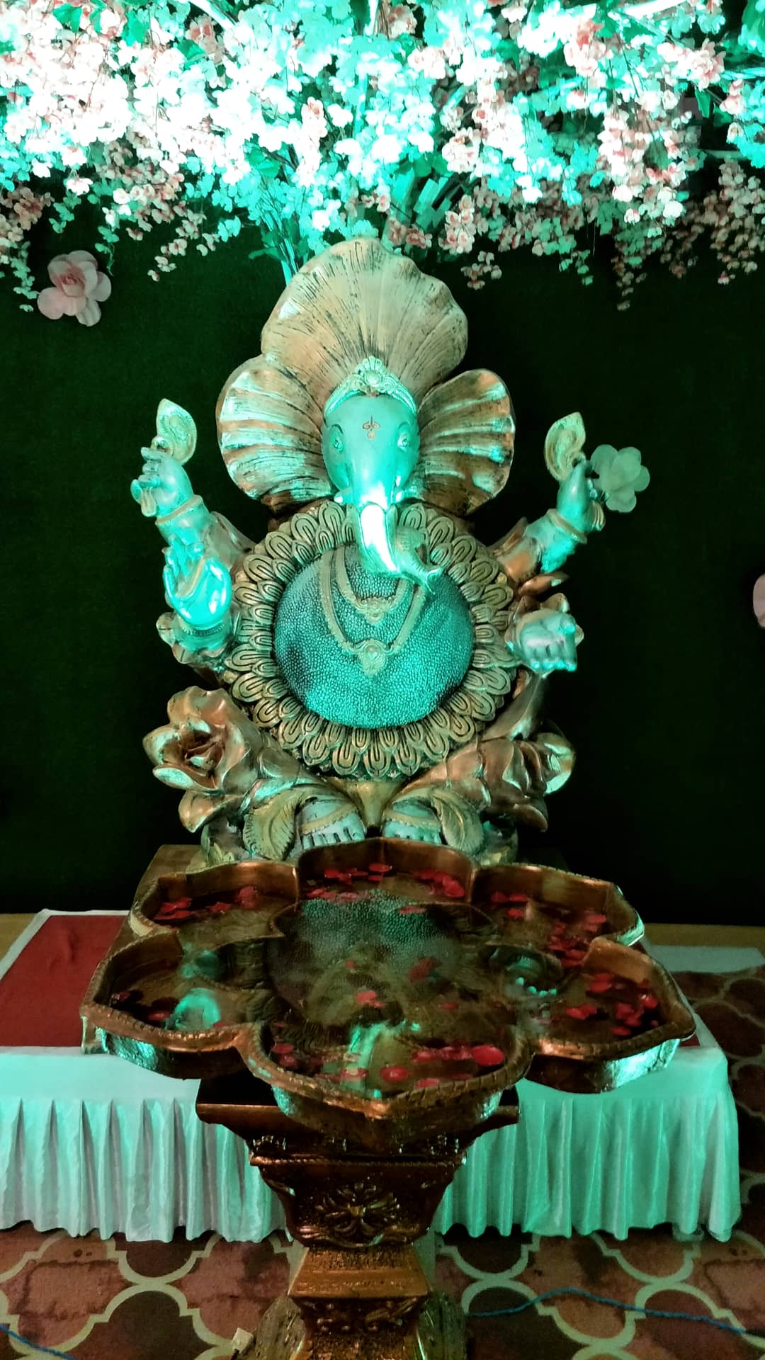 Parvan Farm, Rajkot — photo 10