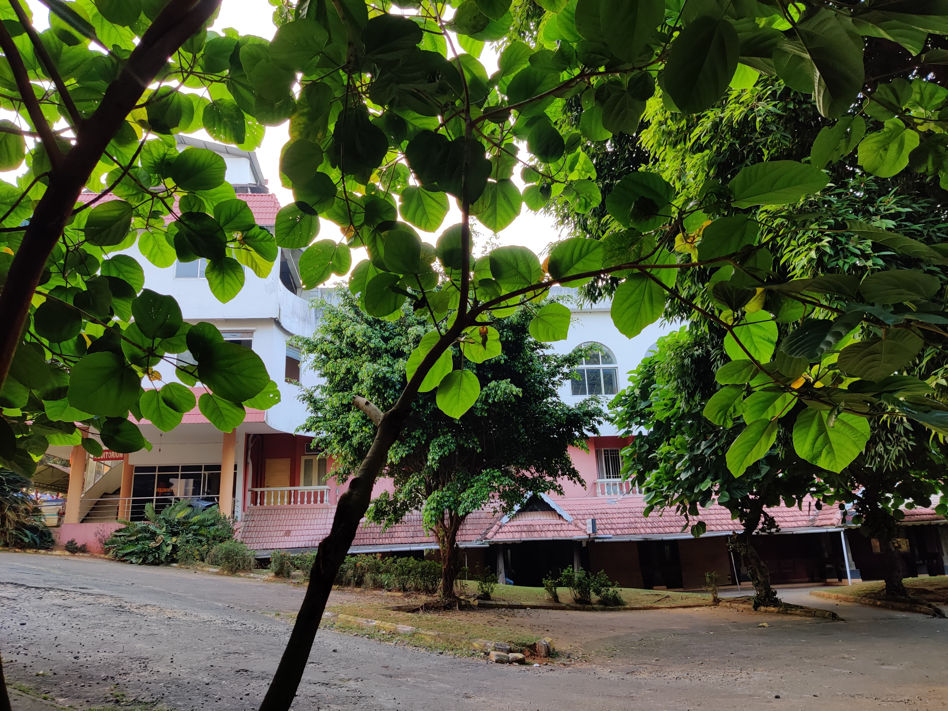 Pappootty Hall, Thodupuzha, Thodupuzha — photo 3