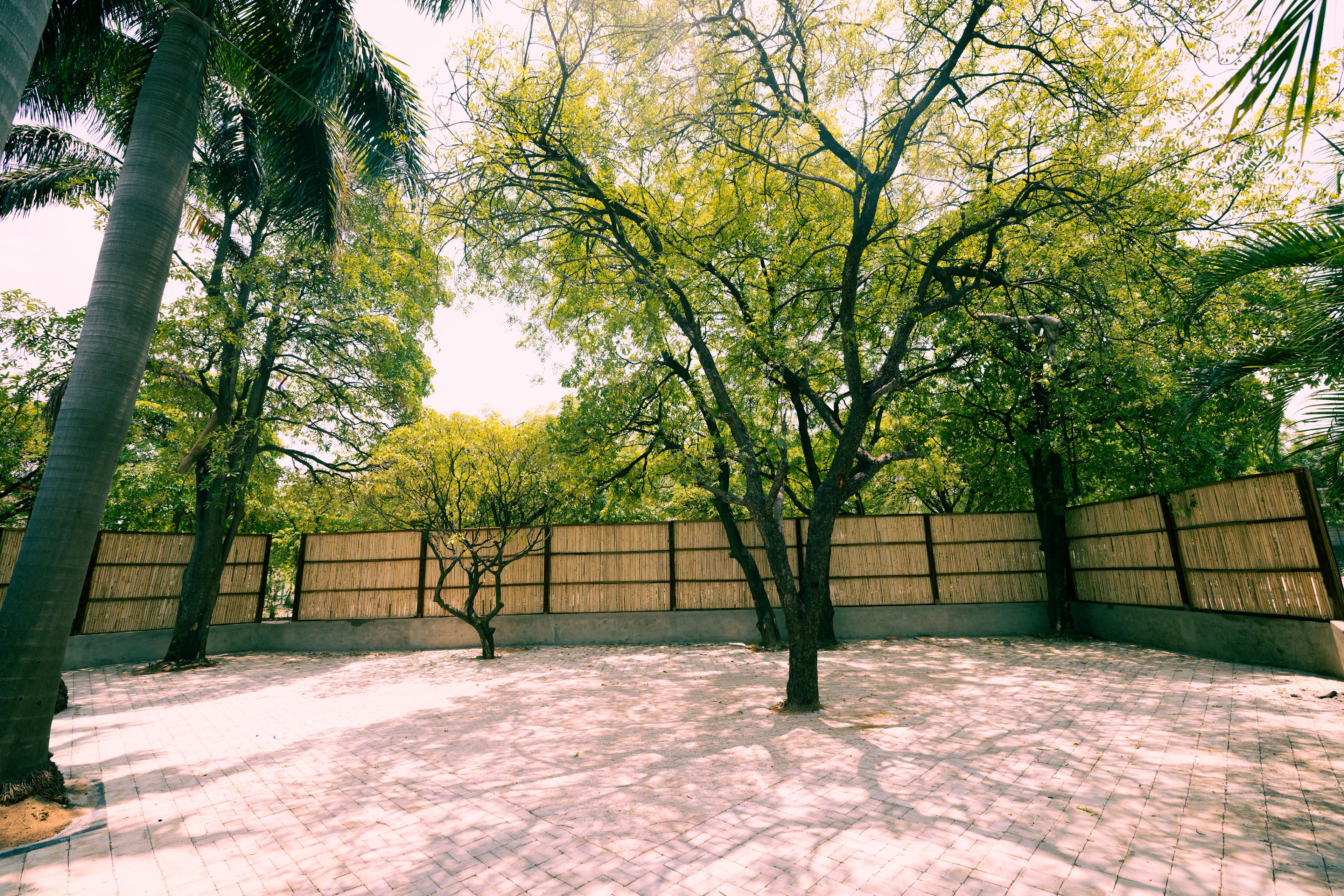 Pujari Park, Raipur — photo 8