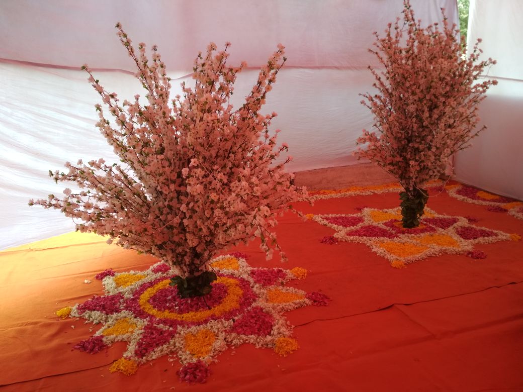 Mega Marriage & Party Hall, Surat — photo 8