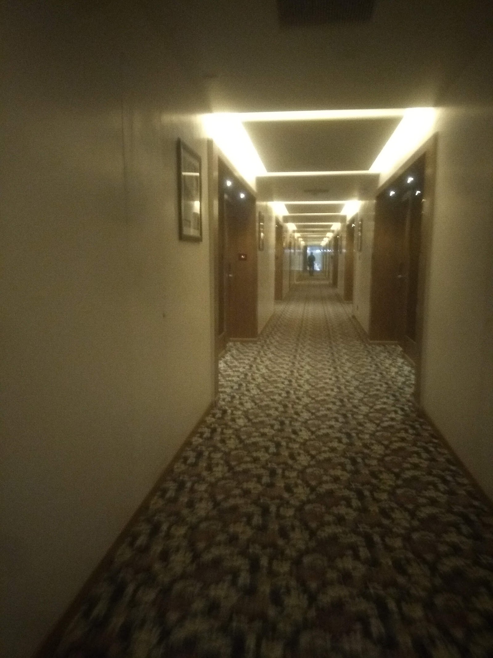 Nirvana By Nagarjuna, Bengaluru — photo 8
