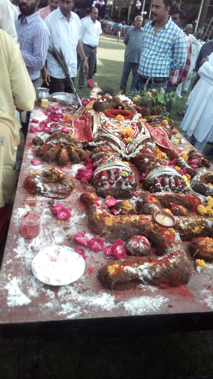Krishnayan Garden कृष्णायन गार्डन, Gwalior — photo 10