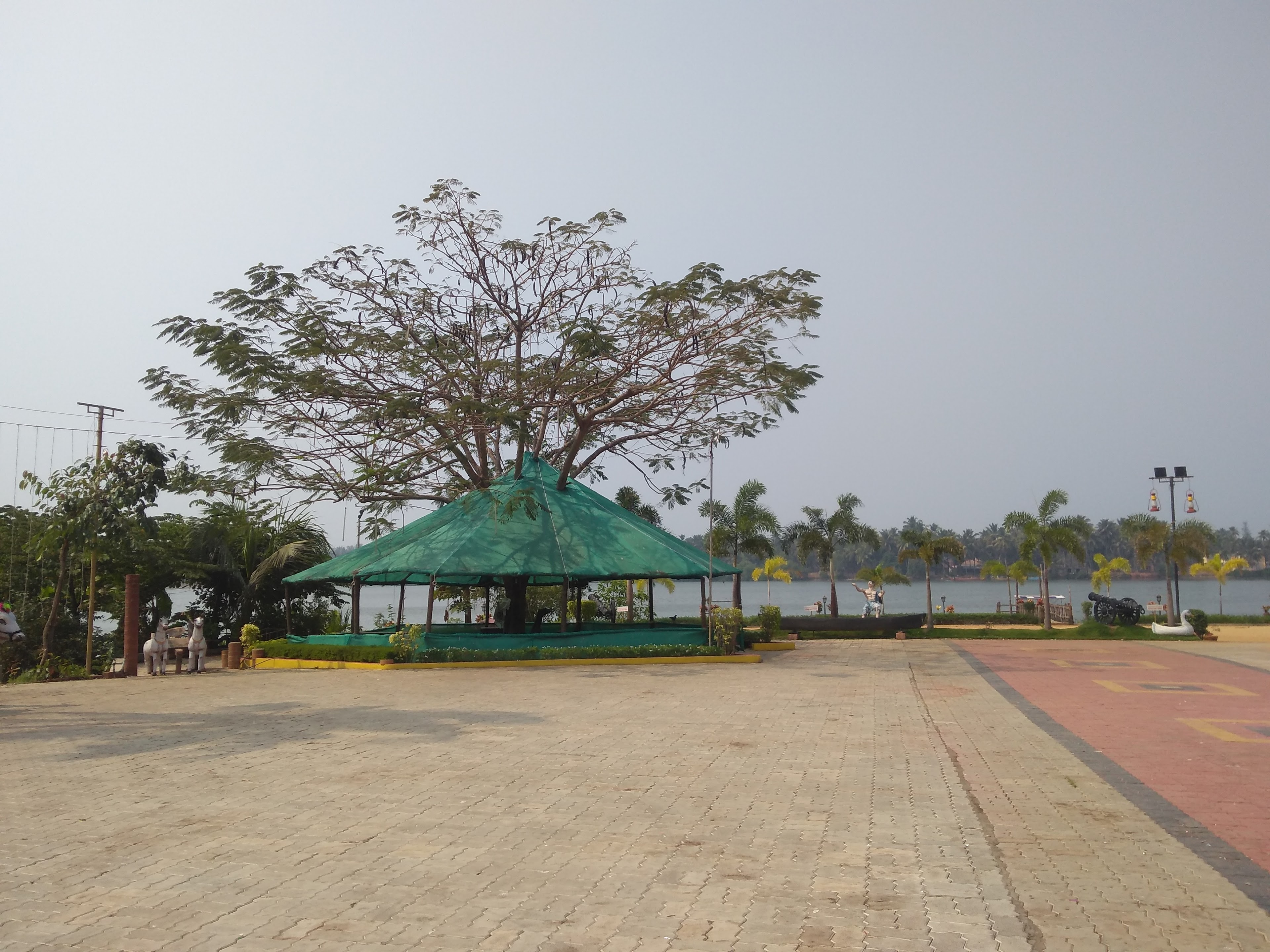 Sesma River View, Mangaluru — photo 2