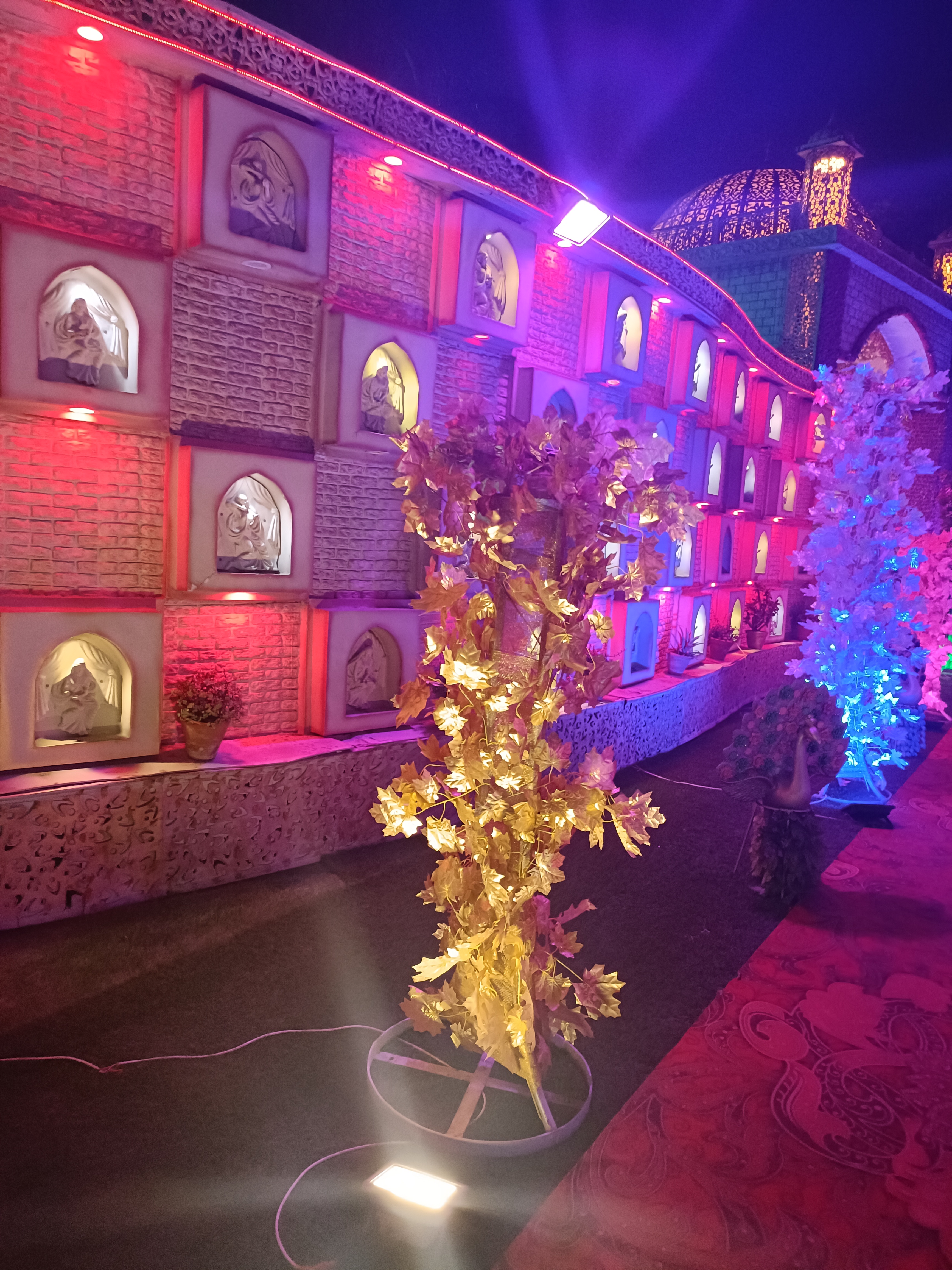 ROYAL AMBIENCE PARTY LAWN , INDIRAPURAM, Ghaziabad — photo 6