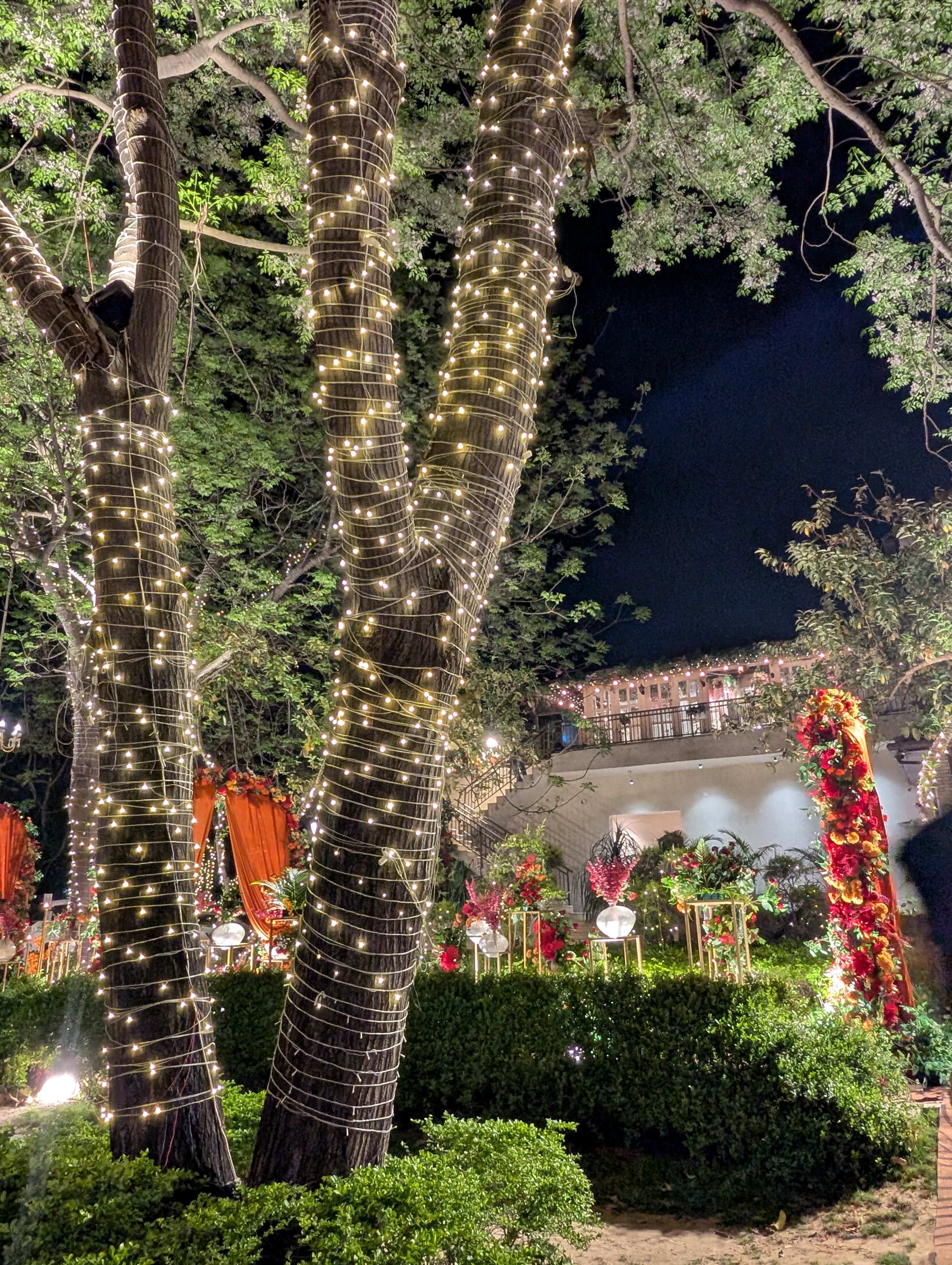 Trellis Garden, Mohali — photo 6