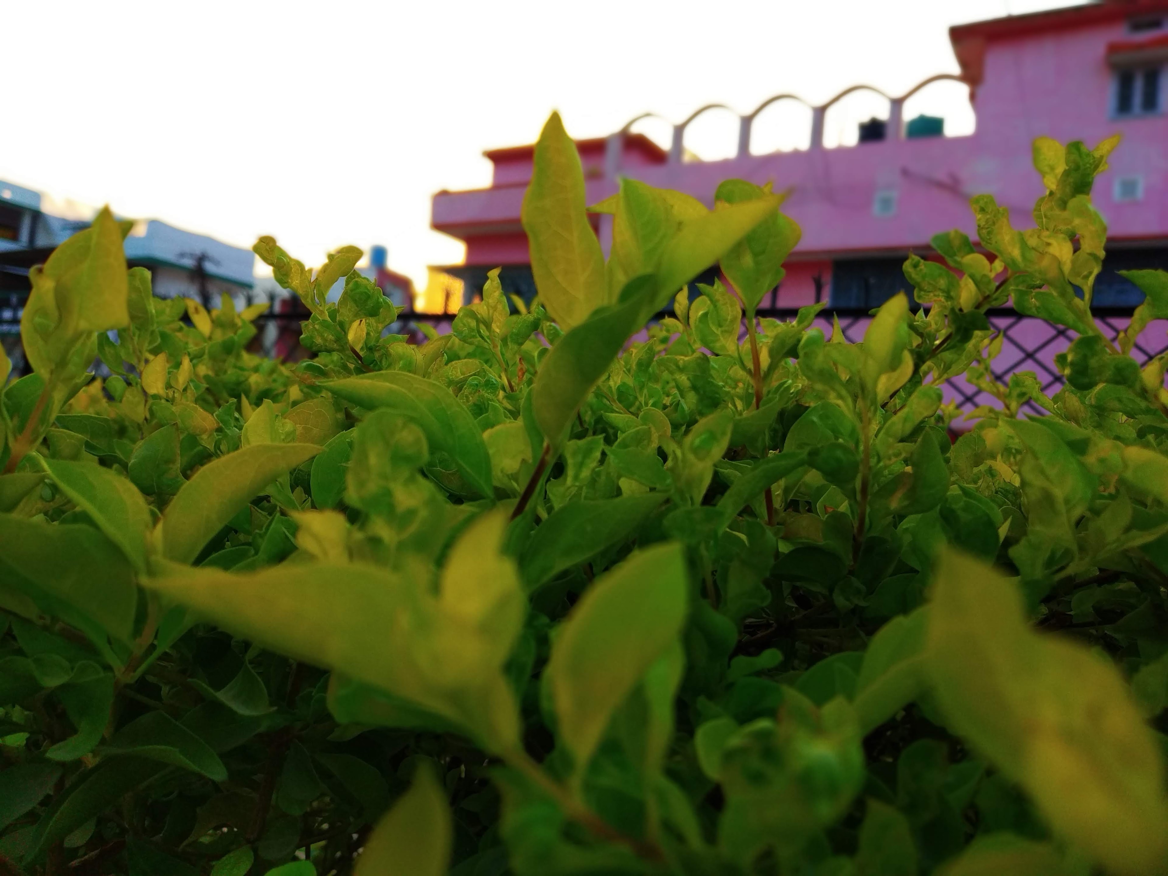 Prince Marriage Hall, Gaya — photo 3