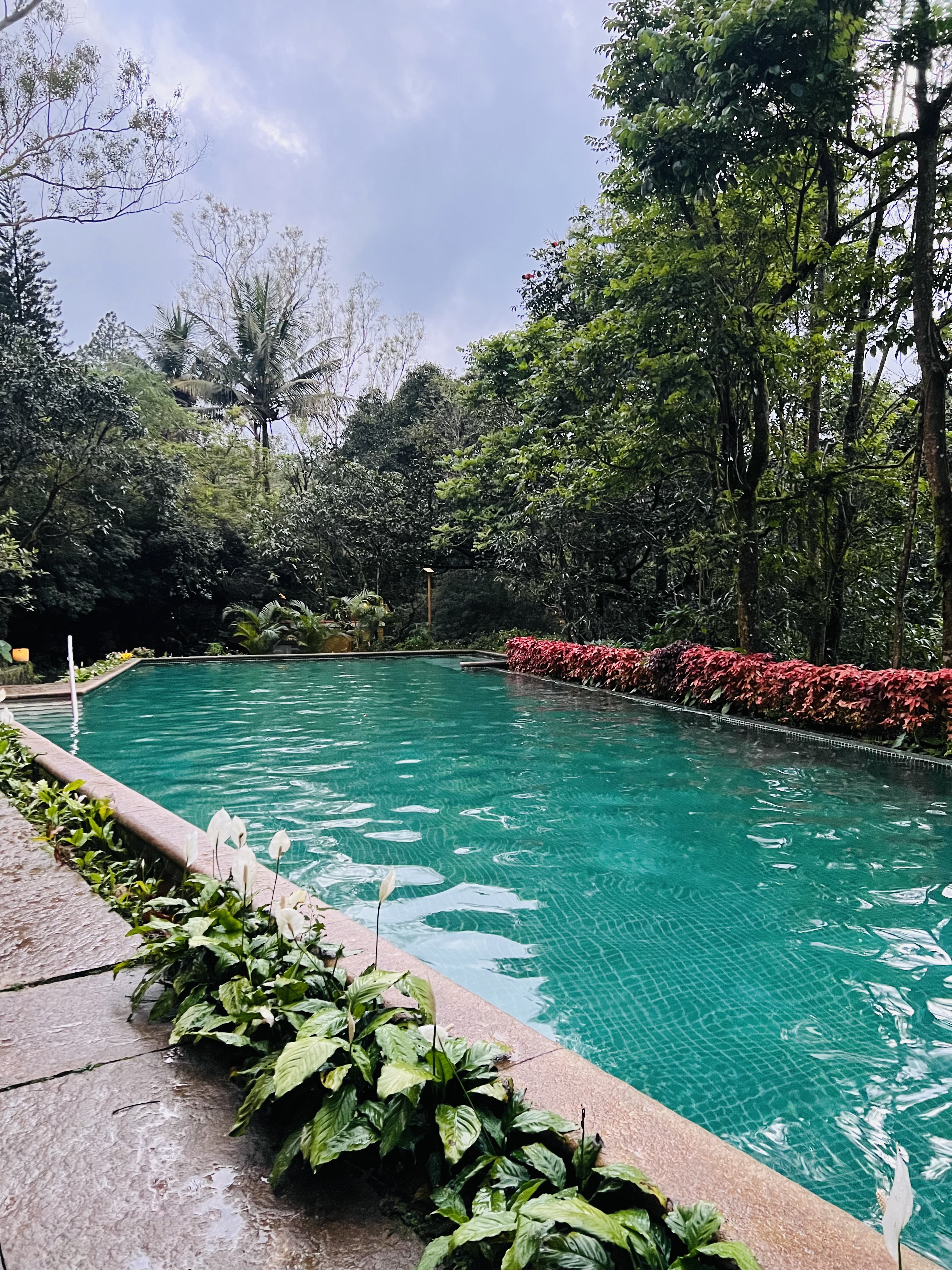 Club Mahindra Resort - Madikeri - Coorg, Karnataka, Madikeri — photo 8